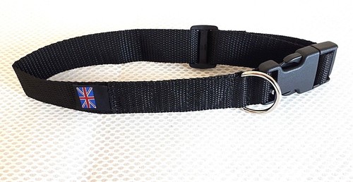 Magnetic bio healing - magnetic, dog