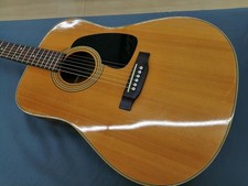 Takamine Acoustic Guitar