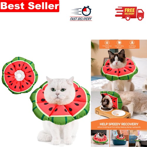 Cute and comfy adjustable cat - and,