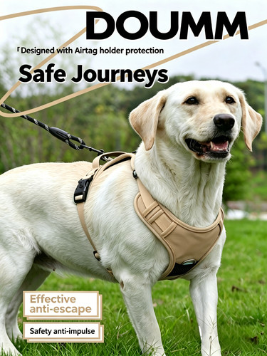 Anti pull dog harness - dog,