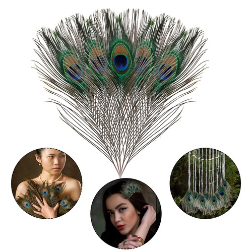 Peacock tail feathers natural - peacock,
