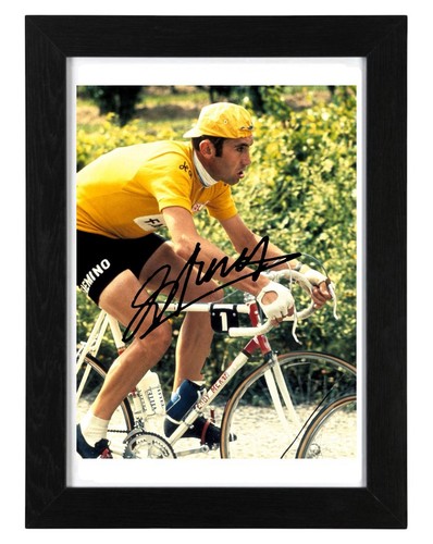 Eddy merckx signed autograph - merckx,