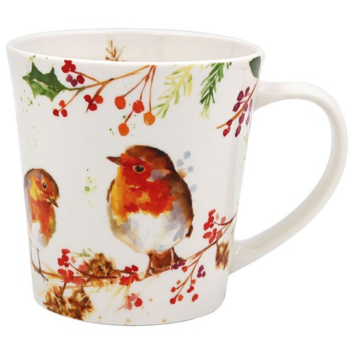 Winter robin bird christmas - robin,