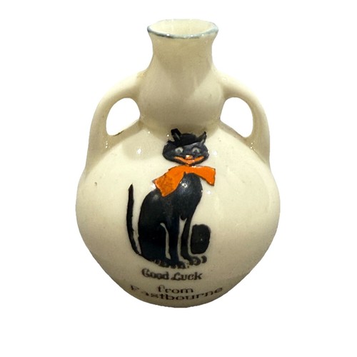 Crested black cat china - cat,