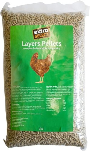 Chicken feed layers pellets - layers,