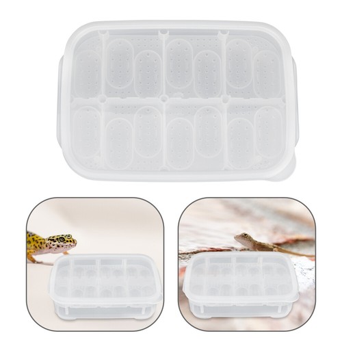 Professional egg incubator - egg,