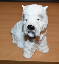 West Highland Terrier Westie