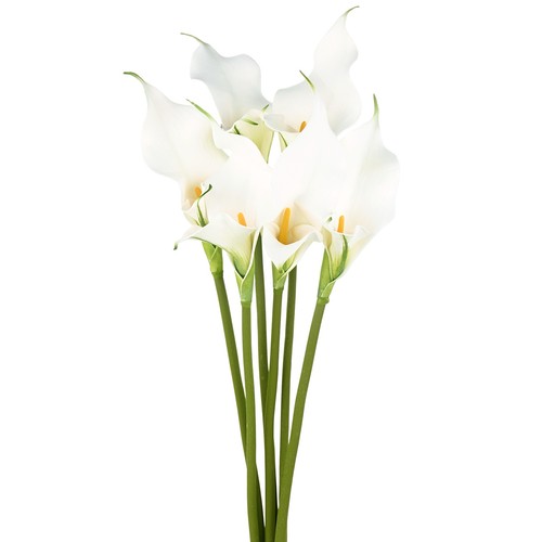 Pack two petaled artificial - 6-pack,
