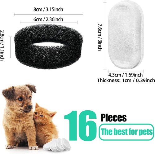 Pet dog cat water - pet,