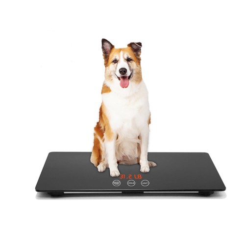 Digital pet scale suitable for