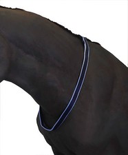 Official Libby's Neck Strap extra support & safety for New horse riders