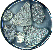 Cretaceous Wealden Hastings Bexhill fossil slide mount - Fish bony plates