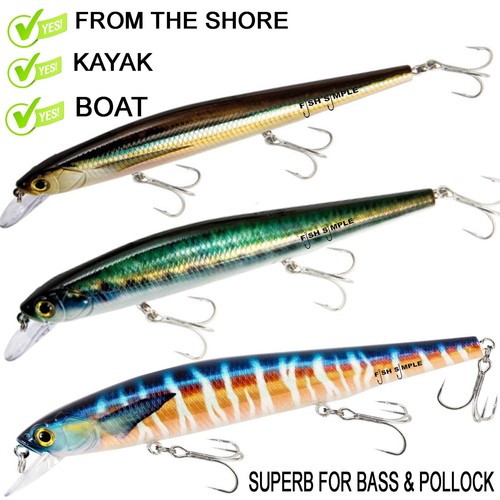 Floating diving bass pollock - bass,
