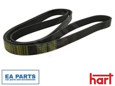 V-Ribbed Belt for HYUNDAI JEEP KIA HART 369 017