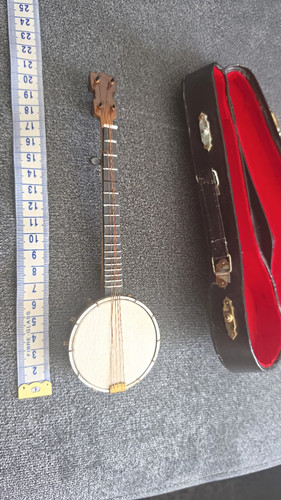 String banjo closed - closed, back