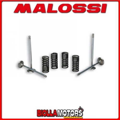 2714047 malossi valve - valve, with