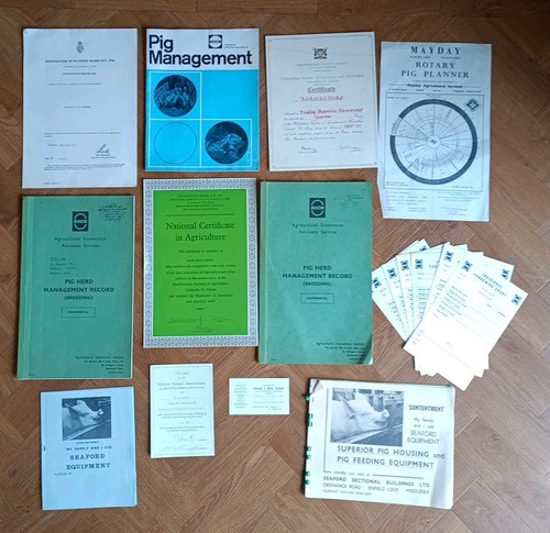 Vintage job lot pig - vintage,