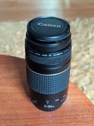 Canon 300mm 5 - ef, 75-300mm