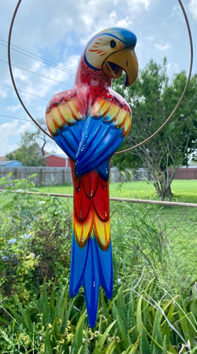 Talavera macaw parrot bird - talavera,