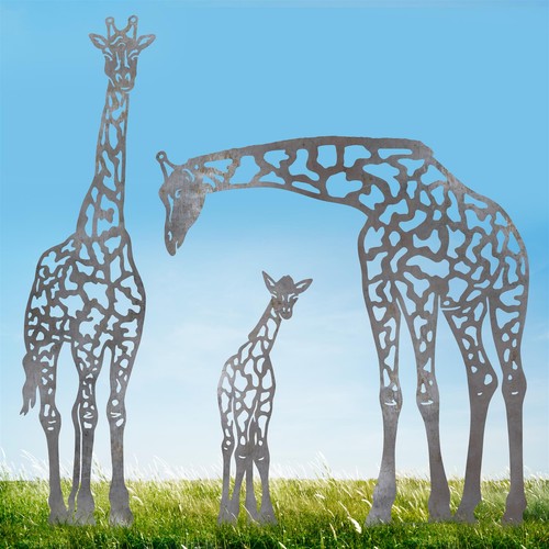 Natural steel giraffe family - giraffe,