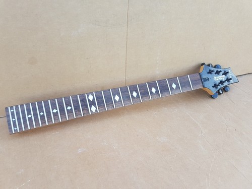 Schecter frets rosewood - schecter, 24