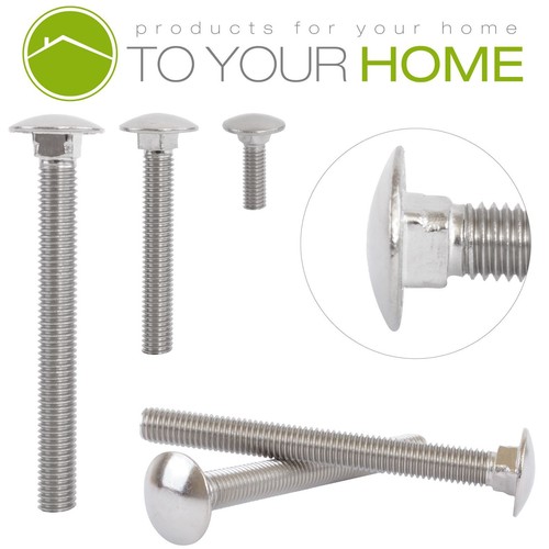 Carriage bolts stainless - bolts,