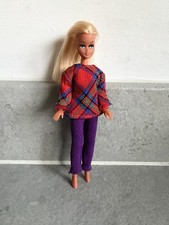 Vintage Palitoy Pippa Britt Doll