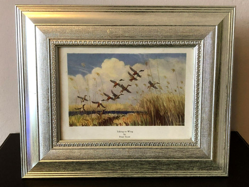 Framed print taking - print, to
