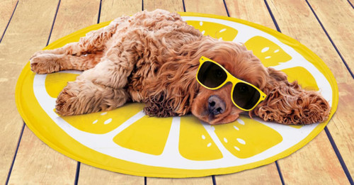 60cm pet cooling - cooling, mat