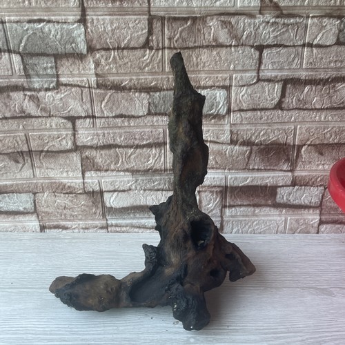 Bogwood driftwood fish - fish, tank