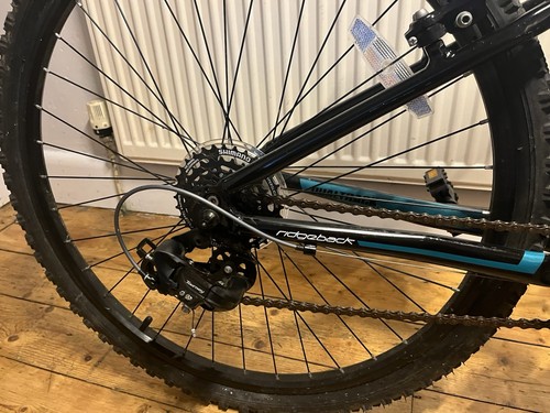 Mountain bike - mountain,