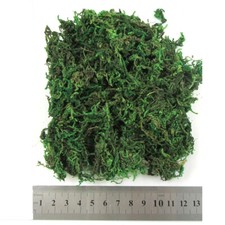 MOSS DRIED POTTED PLANT DECOR WEDDING WREATH HOME EASTER EGG FLOWER CRAFT DIY uk