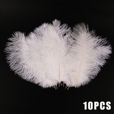 10PCS Pack Large Ostrich