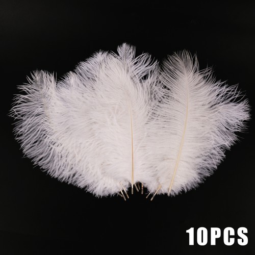 10pcs pack large ostrich - 10pcs,