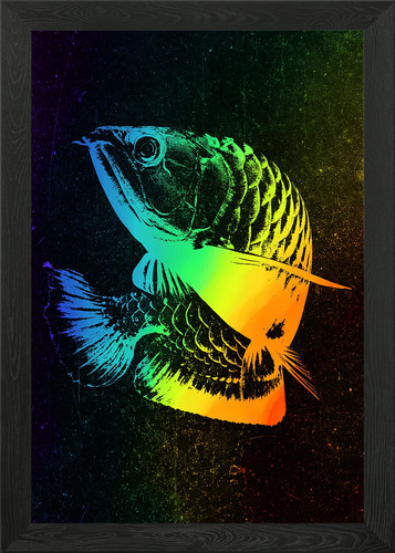 Arowana colorful framed wall - colorful,