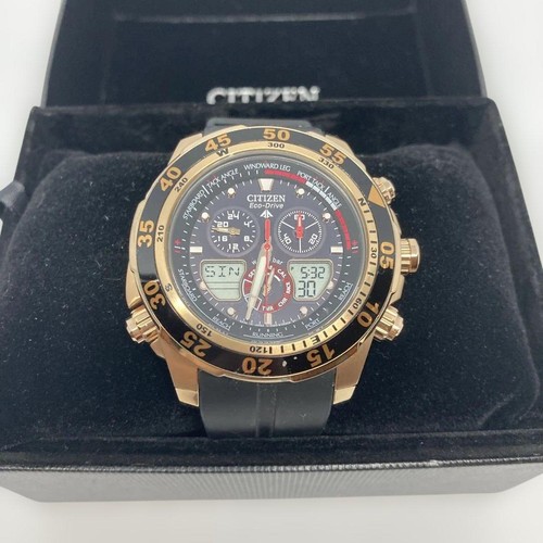 Excellent citizen promaster - citizen,