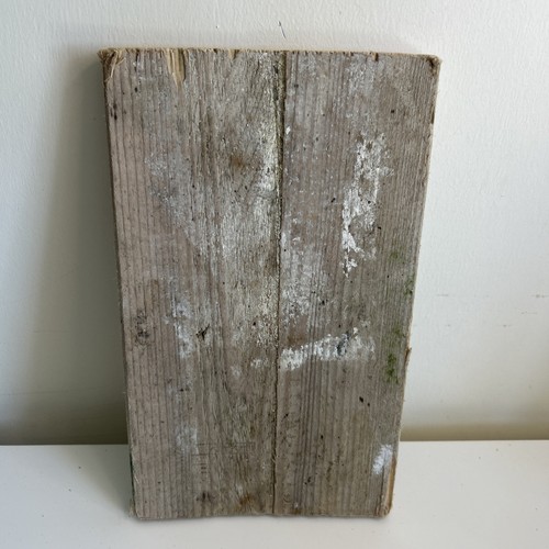 Flat driftwood plank piece - driftwood,
