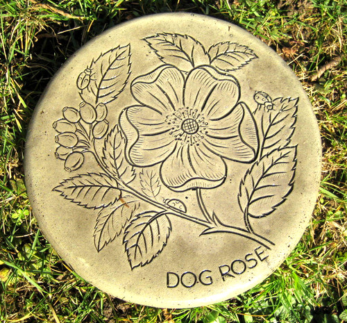 Garden stepping stones - stepping, dogrose
