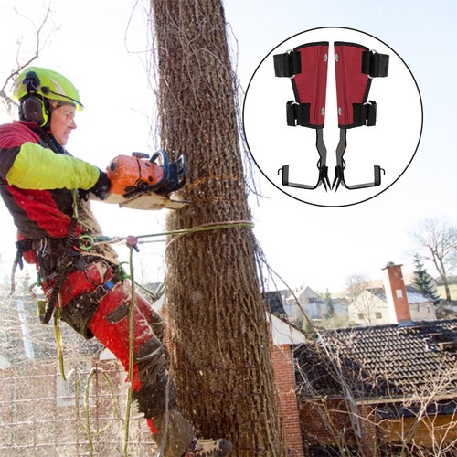 Safety tree climbing - safety,