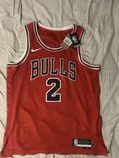 Chicago Bulls Nike Icon