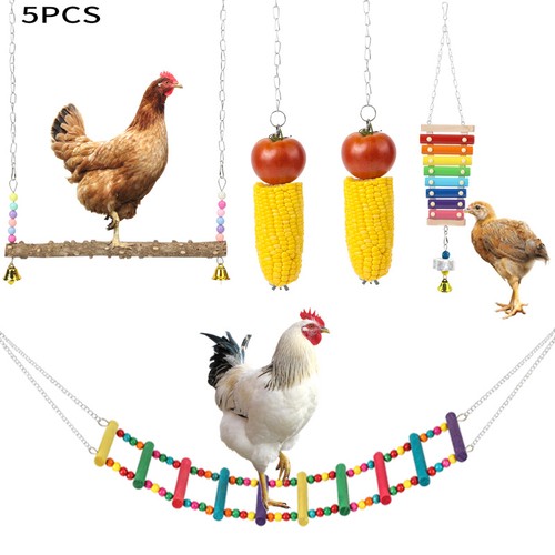 Chicken toys set - set, colourful
