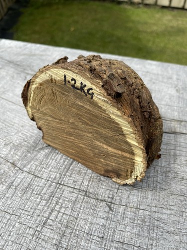 Laburnum log 2kg woodturning - laburnum,