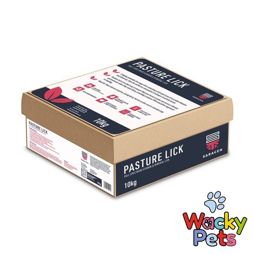 Saracen pasture lick 10kg - saracen,