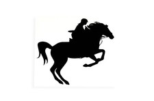 Jockey On Horse Bumper Sticker