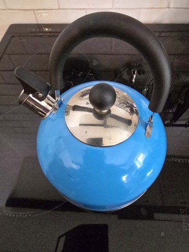 Blue stainless steel - blue,