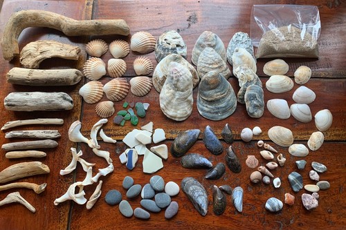 Beach finds craft pack - -, over