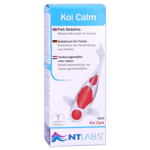 Labs koi calm - calm,
