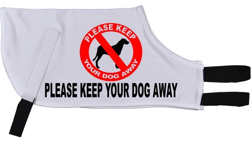 Please keep your - please, dog
