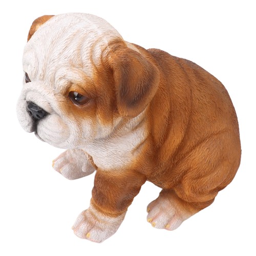 New english bulldog puppy - new,