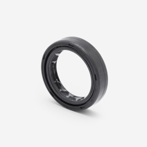 Lexmoto rx1 125 e55 fork - fork, seal